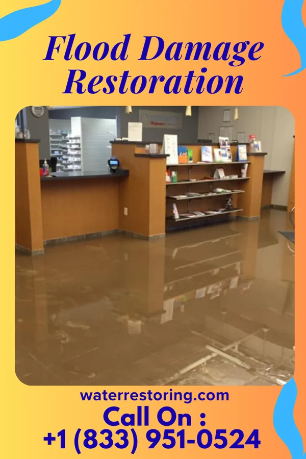 Flood Damage Restoration in Collinsville, IL