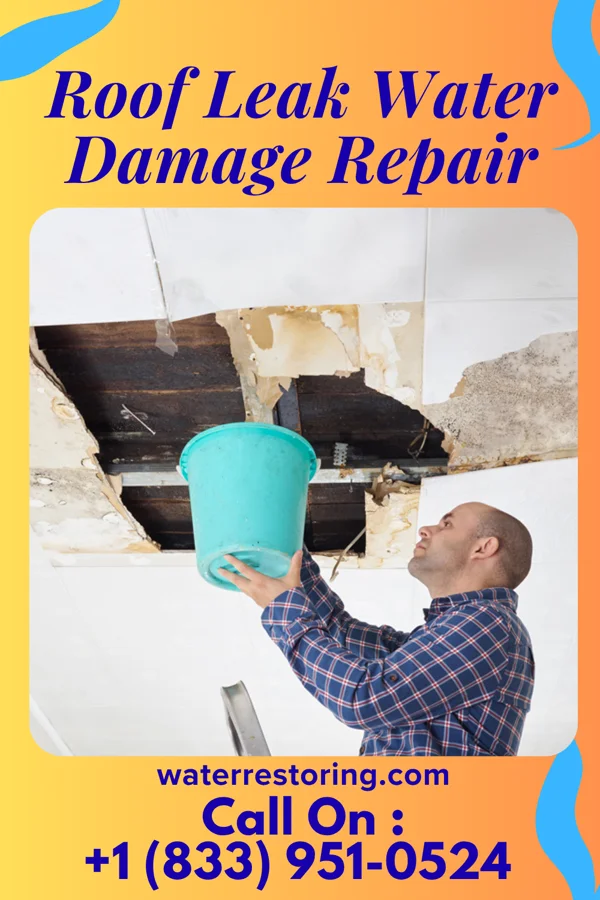 Roof Leak Water Damage Repair in Collinsville, IL