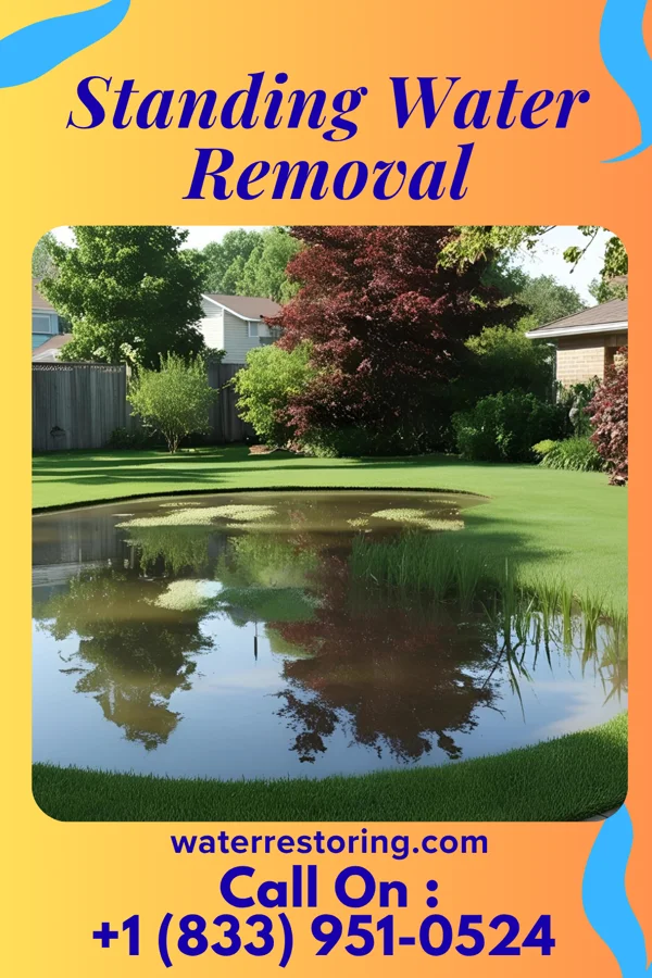 Standing Water Removal in Collinsville, IL